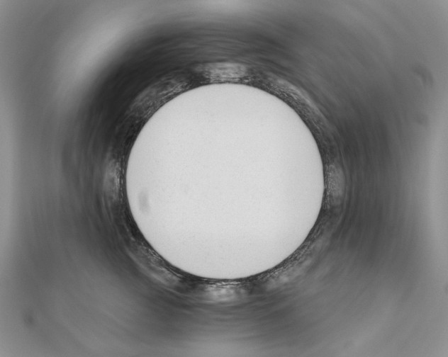 X0000110920761200907301602