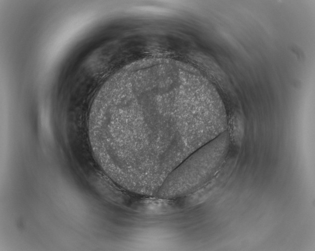 X0000110920762200907301602