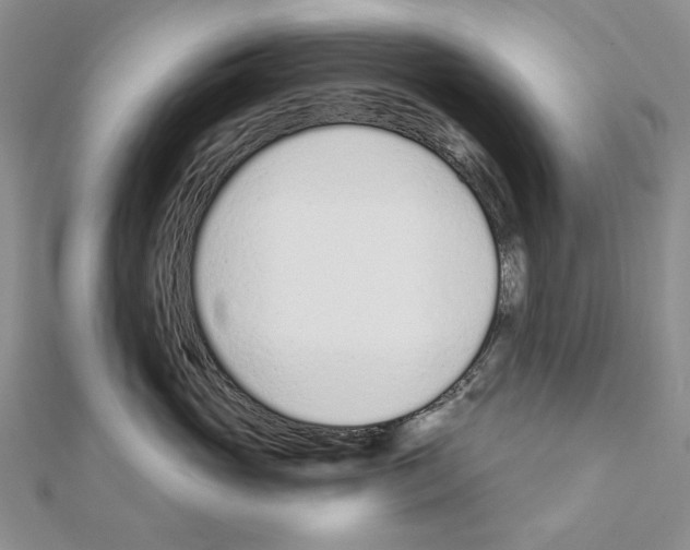 X0000110920765200907301602