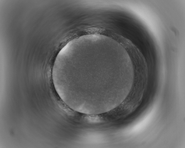 X0000110920767200907301602
