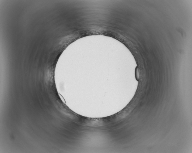 X0000110920768200907301602