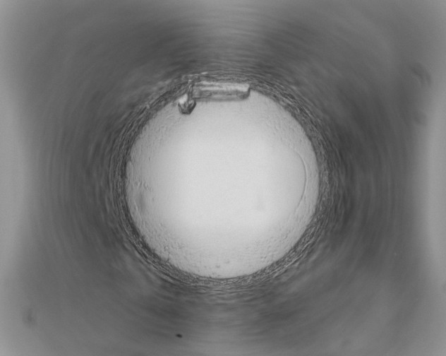 X0000110920769200907301601