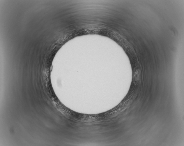 X0000110920772200907301601