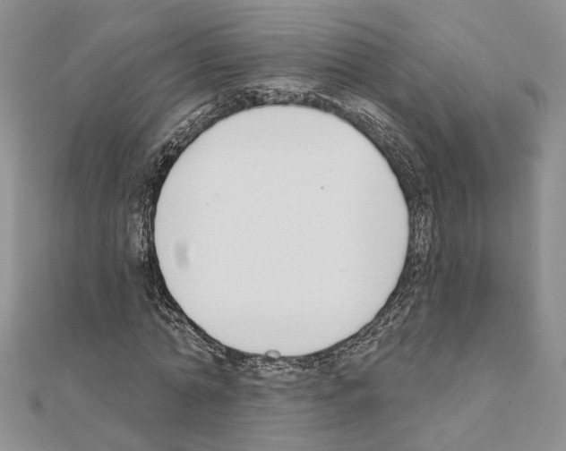 X0000110920774200907301601