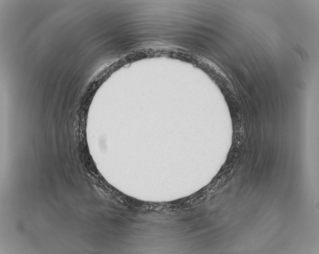 X0000110920775200907301601