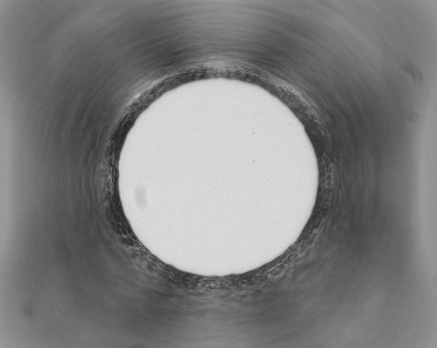 X0000110920776200907301601