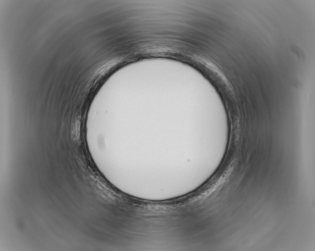 X0000110920777200907301601