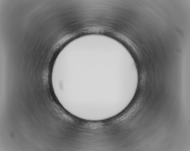 X0000110920778200907301601
