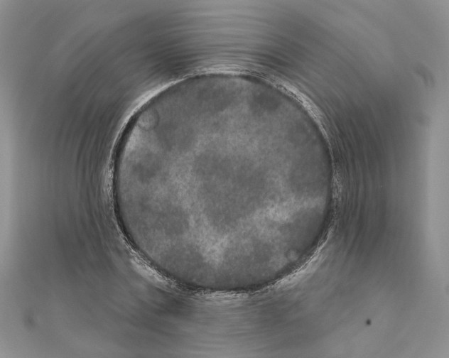 X0000110920779200907301601