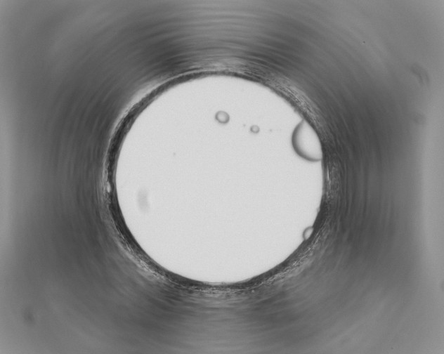 X0000110920780200907301601