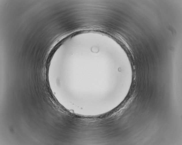X0000110920781200907301601