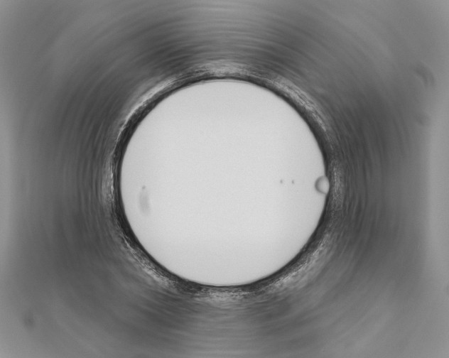 X0000110920782200907301601