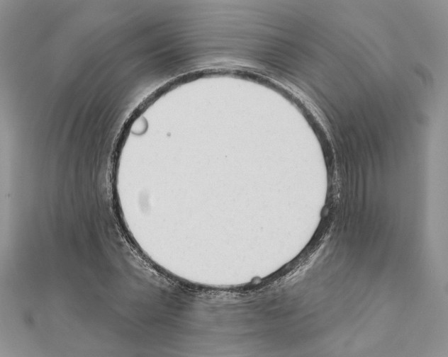 X0000110920783200907301601