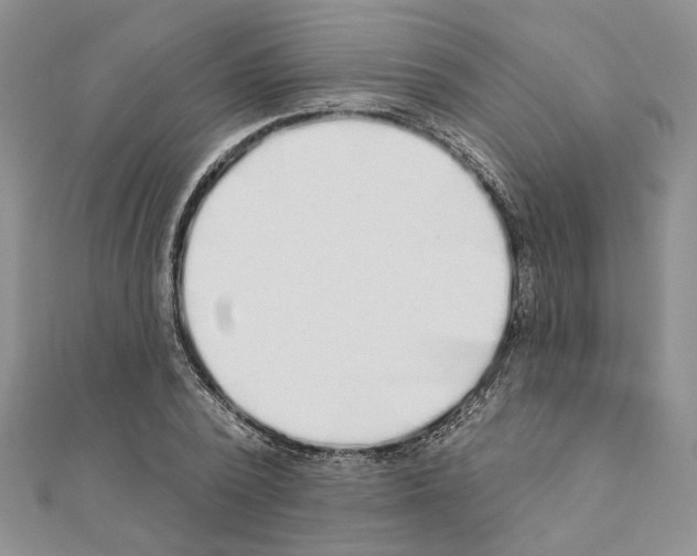 X0000110920784200907301601