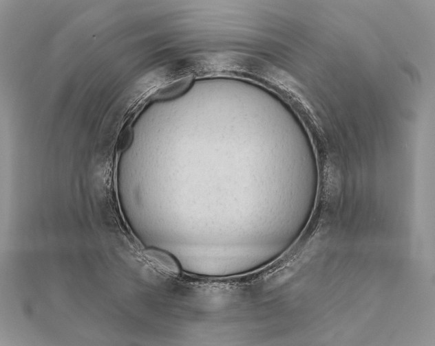 X0000110920785200907301601