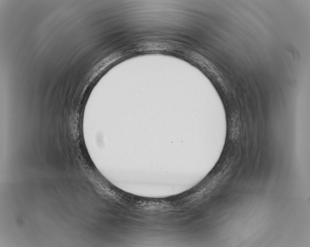 X0000110920786200907301601