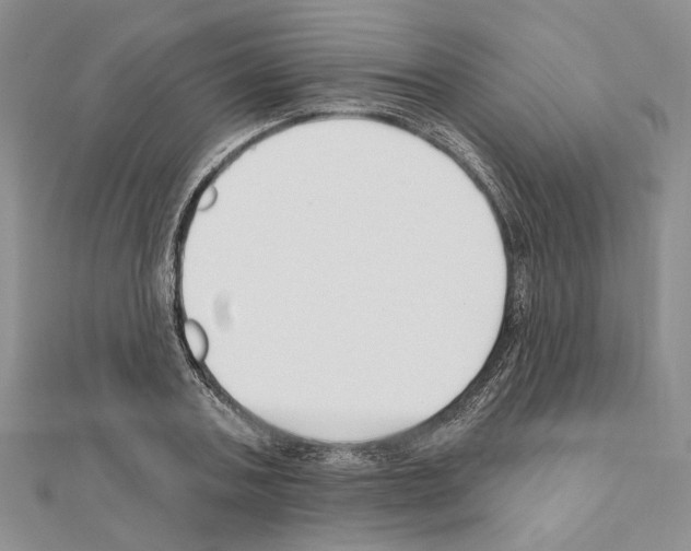 X0000110920787200907301601