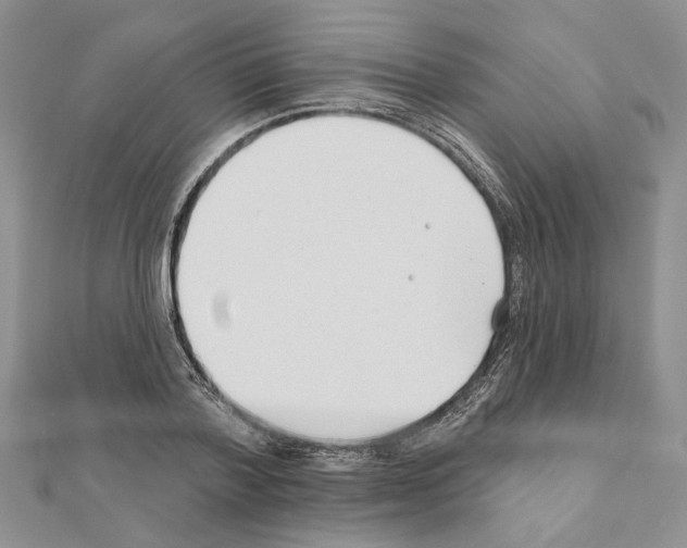 X0000110920788200907301601