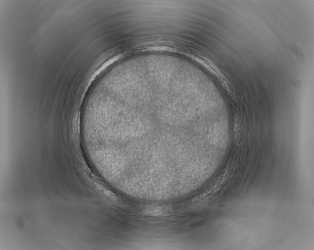 X0000110920790200907301601