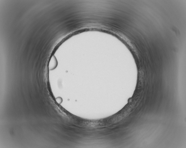X0000110920791200907301601