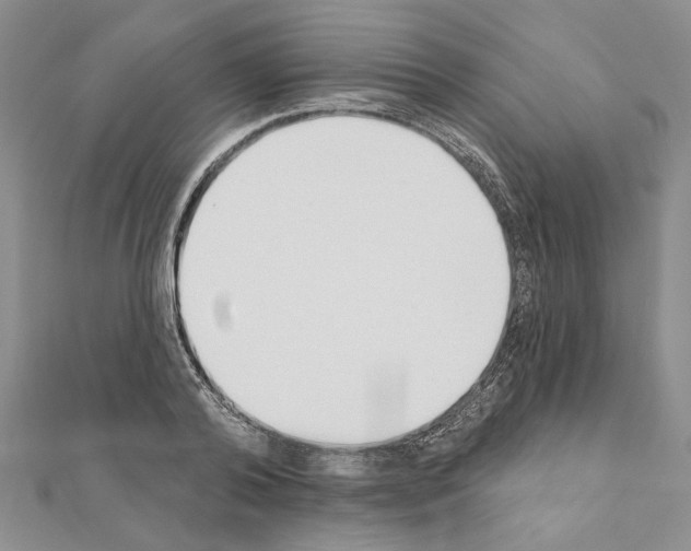 X0000110920792200907301601