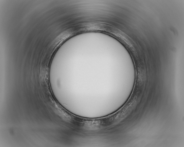 X0000110920793200907301601