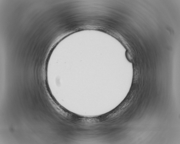 X0000110920795200907301601