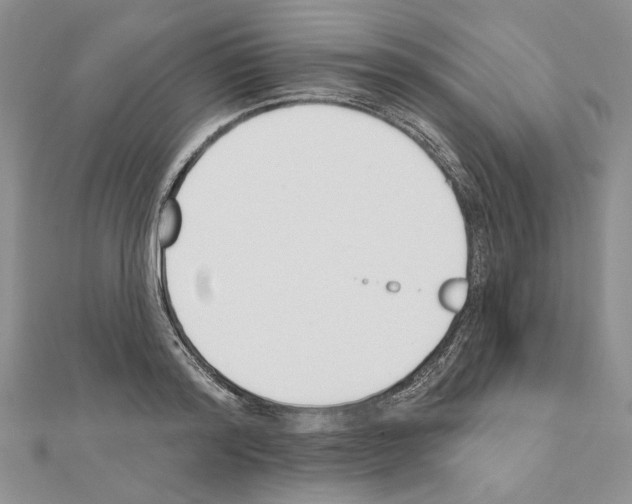 X0000110920796200907301601