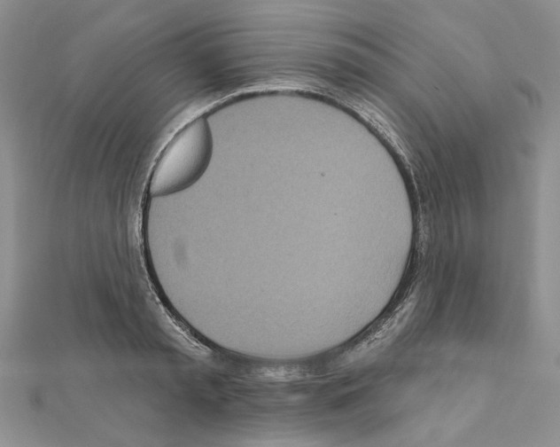 X0000110920797200907301601