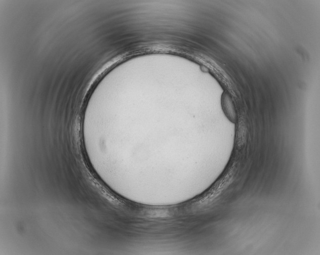 X0000110920798200907301601