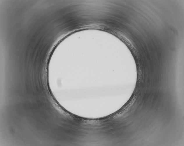 X0000110920800200907301601