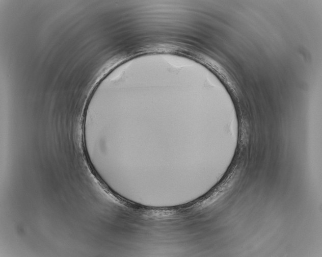X0000110920802200907301601