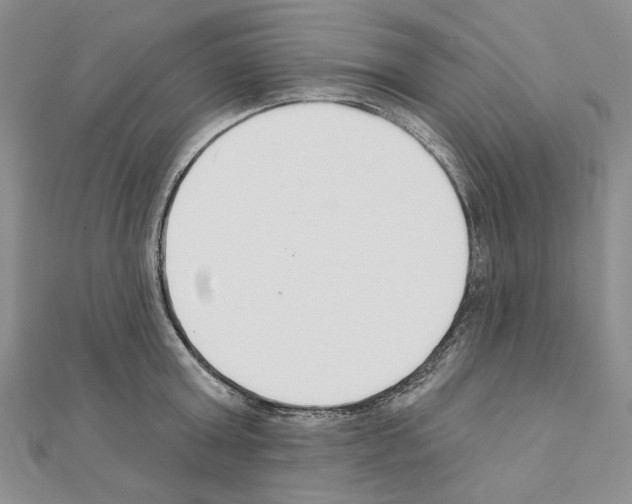 X0000110920803200907301601