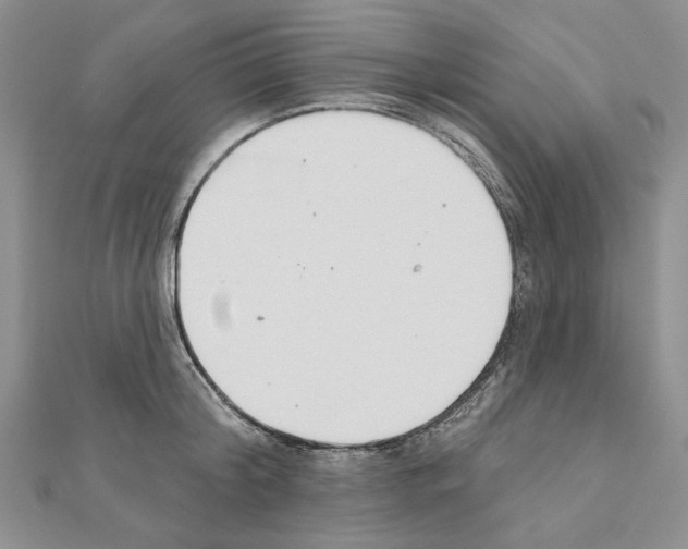 X0000110920804200907301601
