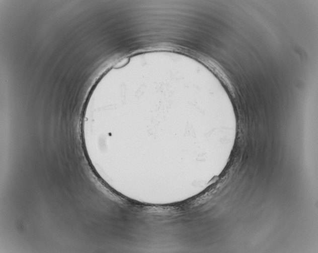 X0000110920805200907301601