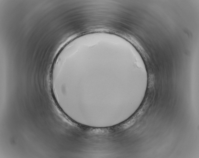X0000110920806200907301601