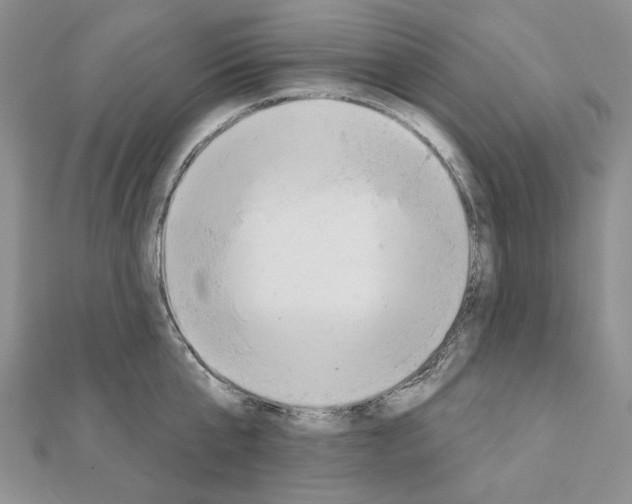 X0000110920807200907301601