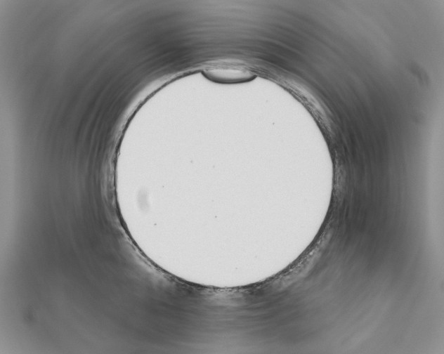 X0000110920808200907301601