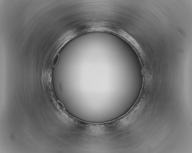 X0000110920809200907301601