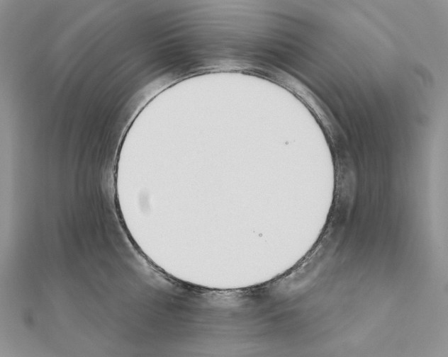 X0000110920810200907301601