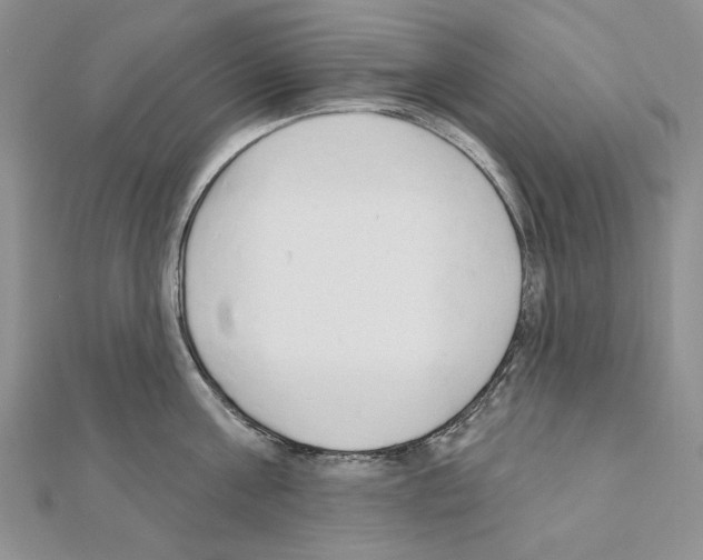X0000110920811200907301601