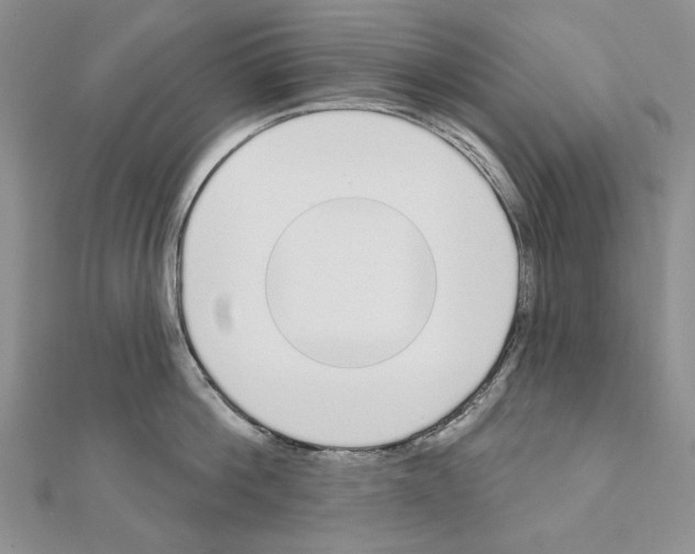 X0000110920812200907301601