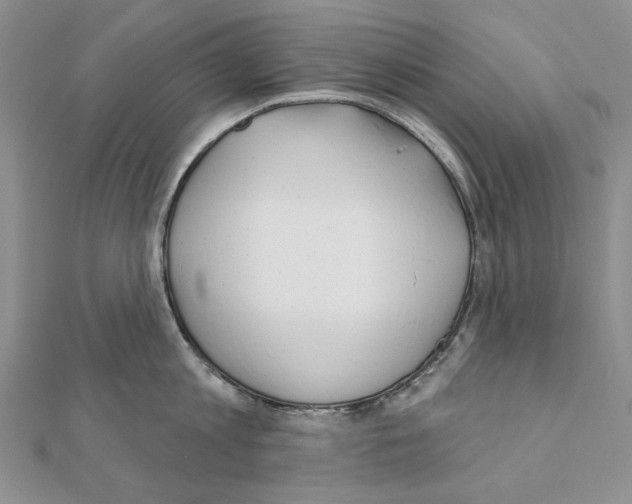 X0000110920813200907301601
