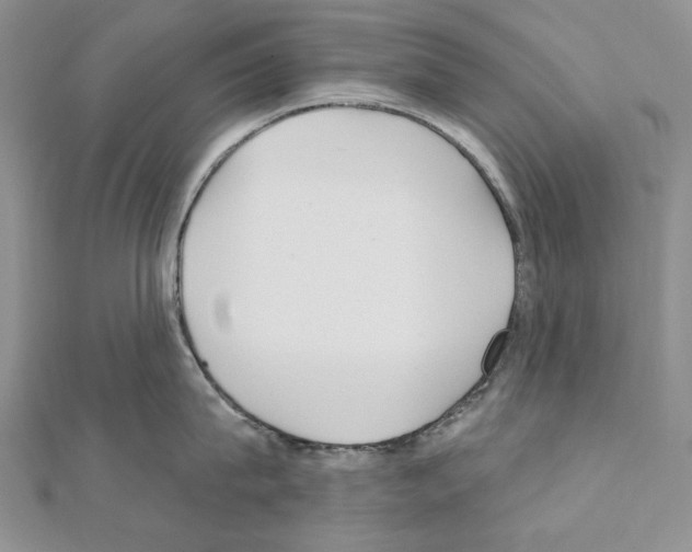 X0000110920815200907301601