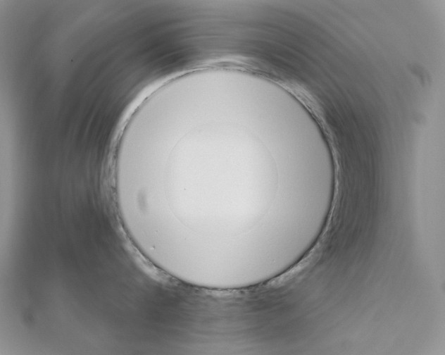 X0000110920816200907301601