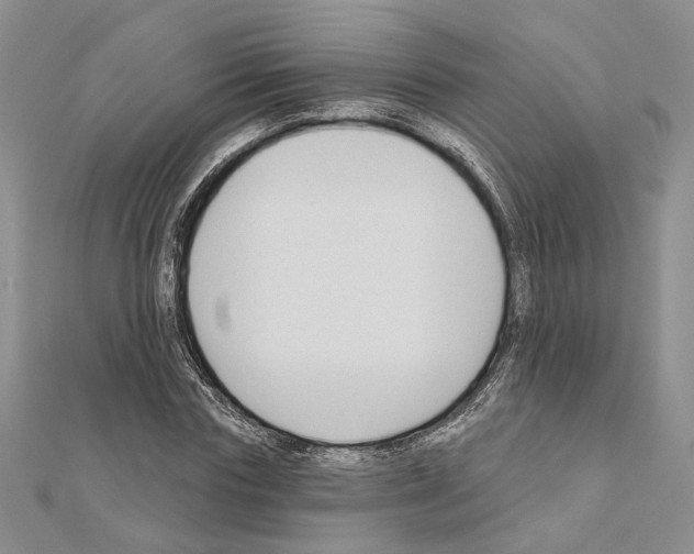 X0000110920827200907301600