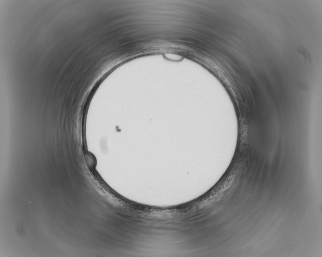 X0000110920843200907301601