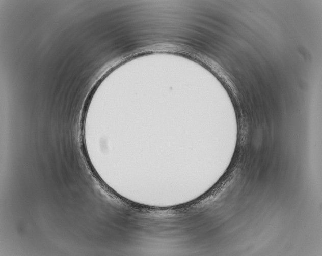X0000110920845200907301601
