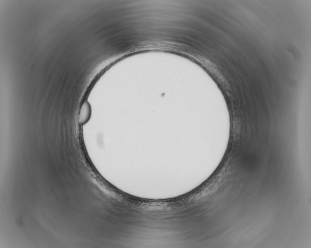 X0000110920846200907301601