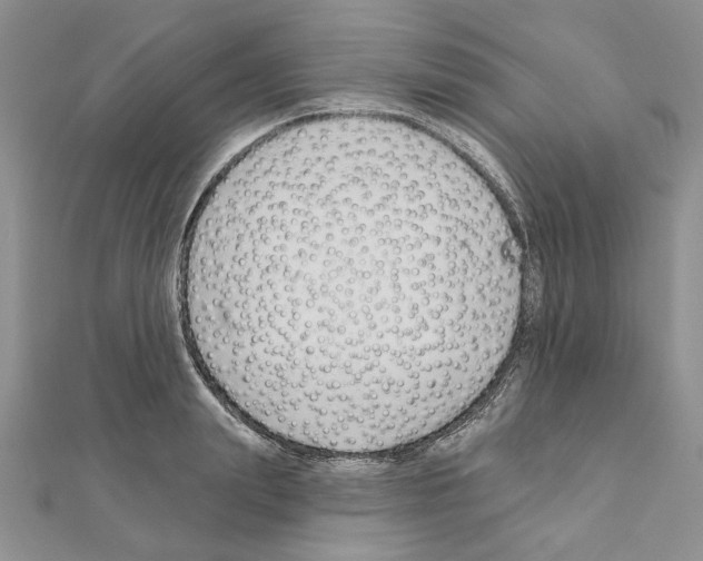 X0000110920847200907301601